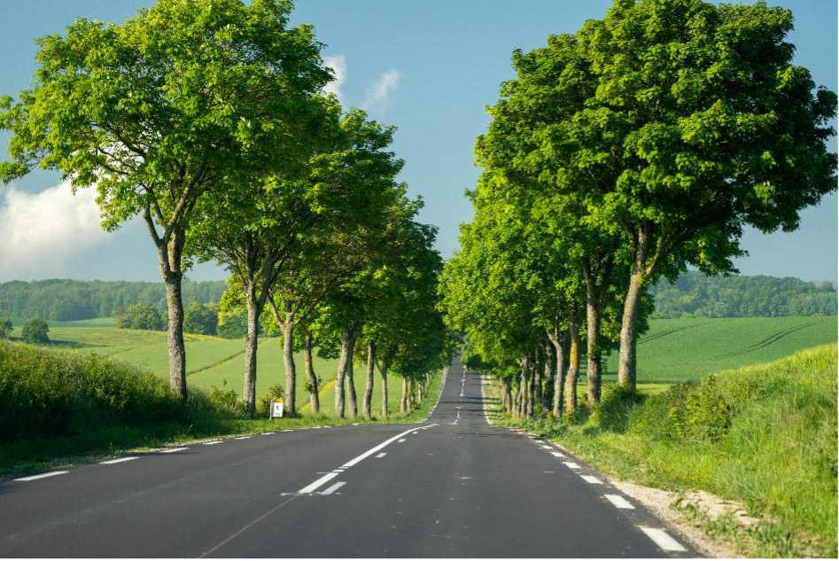 Audit du réseau routier national non concédé